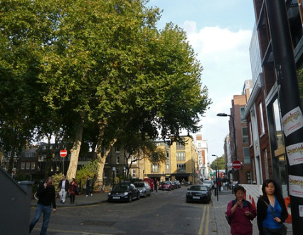 Tel.: 0049 308 878 9704, Leitungen ge�ffnet 10 - 18 Uhr. Die niedrigsten Preise, keine Buchungsgeb�hr!